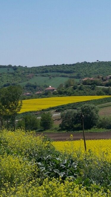 malkara çekici